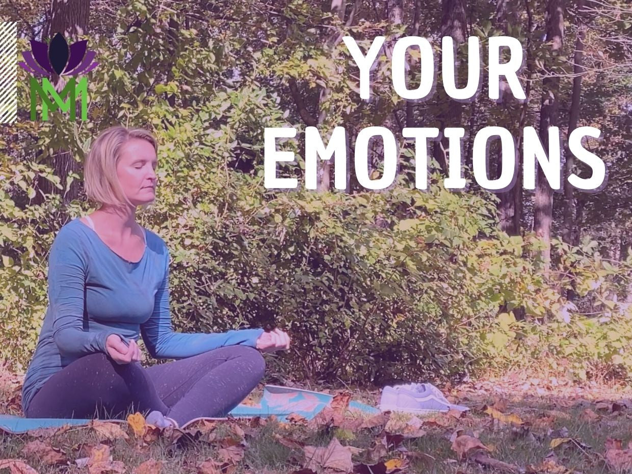 20 Minute Meditation for Acceptance and Gratitude | Beginner Meditation Series