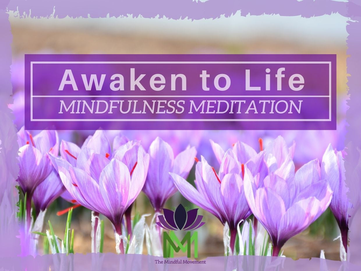 Awakening Fully to Life by Embracing Emotions / Mindfulness Meditation