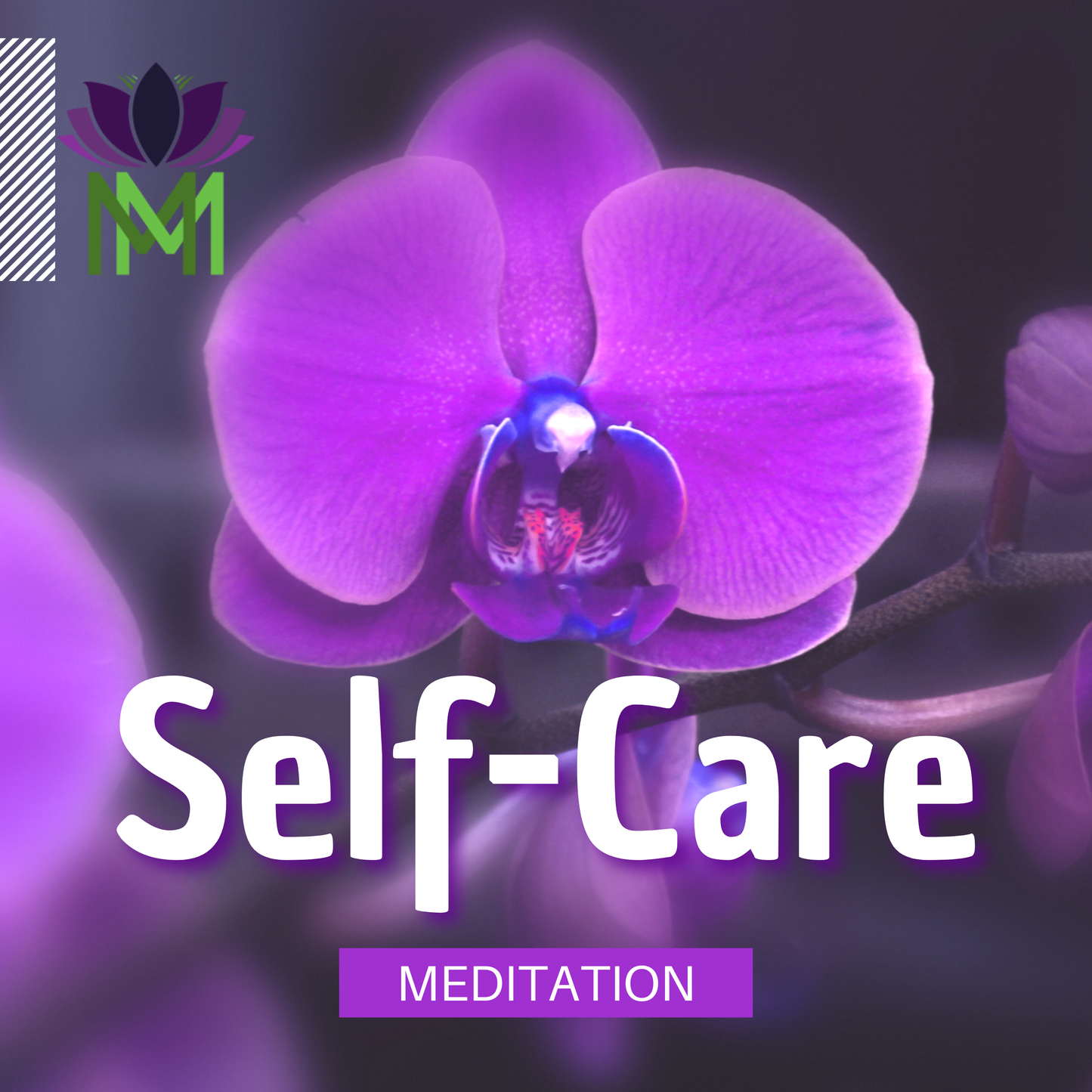 Self Honoring Self-Care Meditation