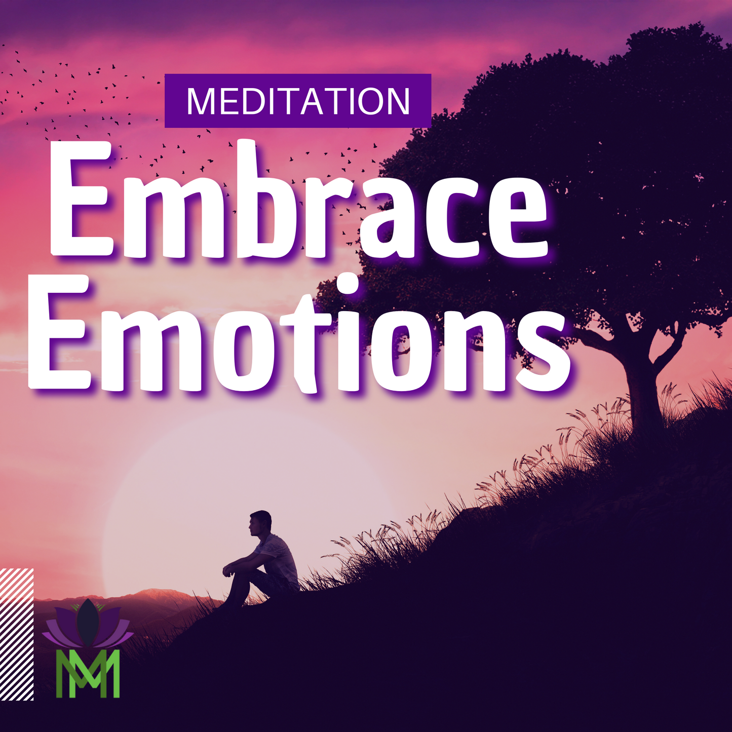 20 Minute Meditation for Healing Your Emotions through Release and Renewal