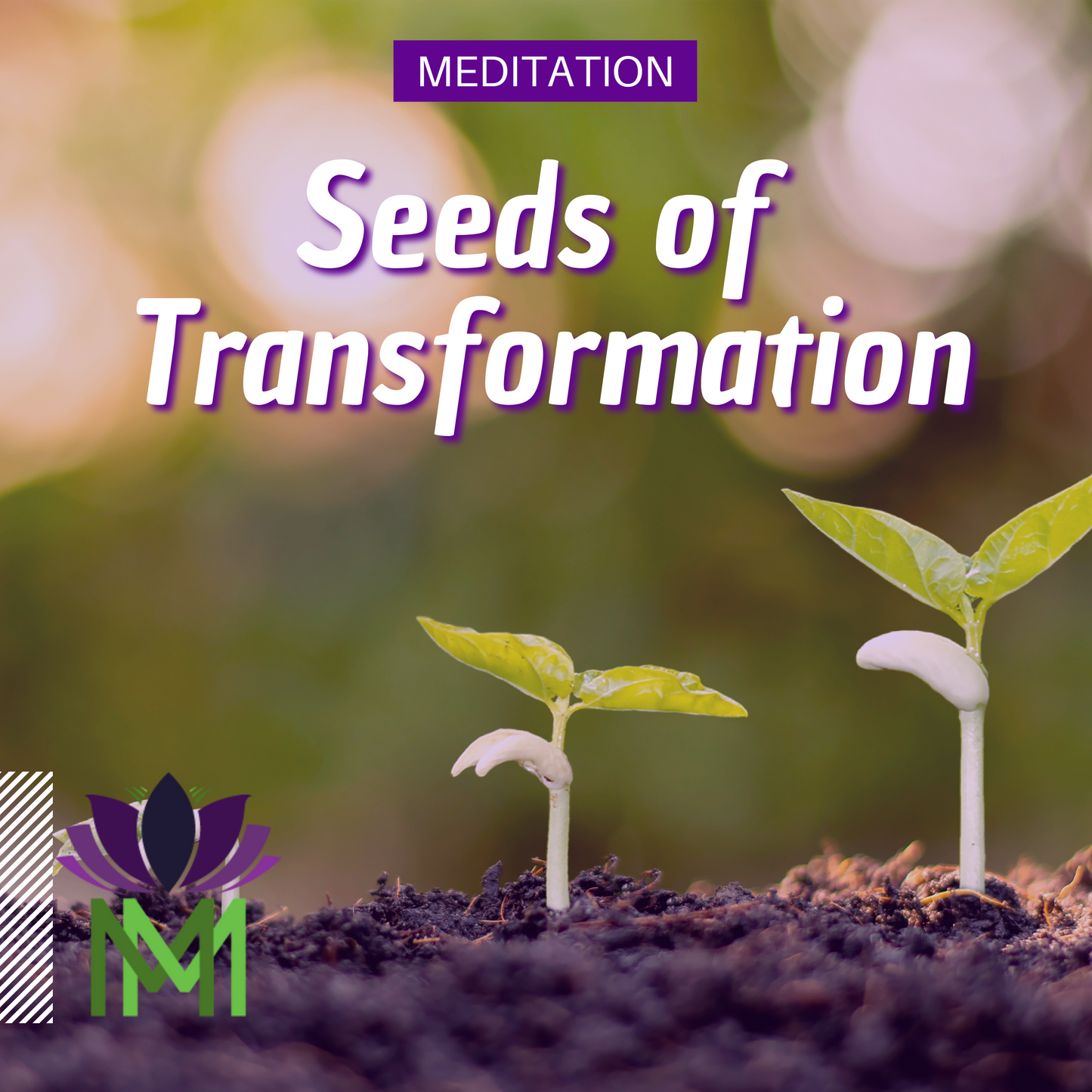 Let Go and Welcome New Beginnings | Summer Solstice Meditation