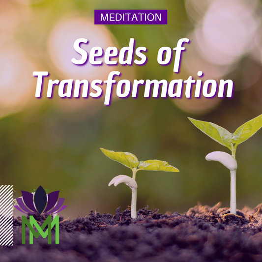 Let Go and Welcome New Beginnings | Summer Solstice Meditation