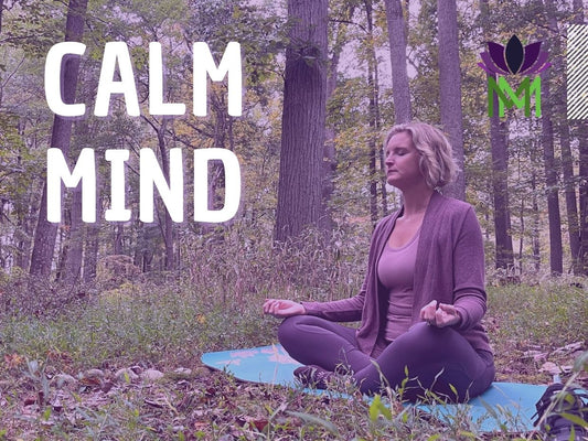 Mindfulness of Thoughts to Reduce Stress and Anxiety | Beginner Meditation Series